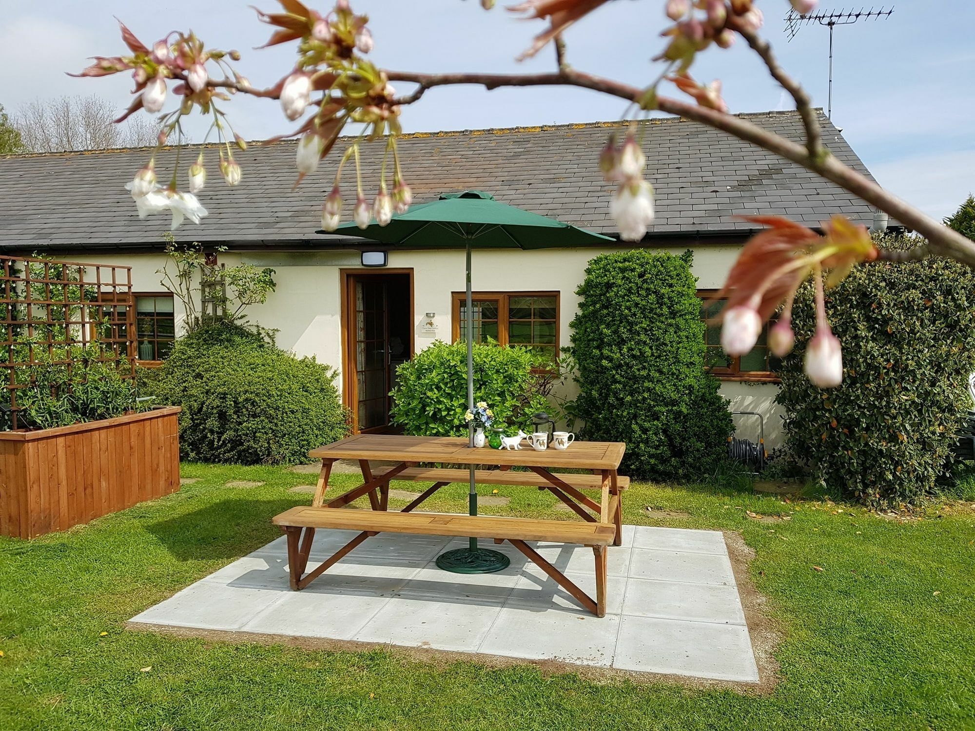 Hawthorn Farm Cottages Canterbury Kültér fotó